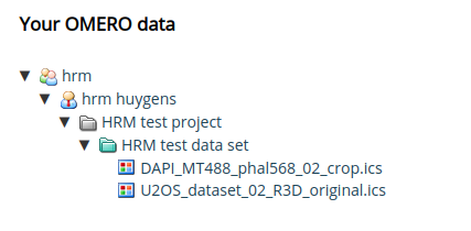 OmeroTreeScreenshot